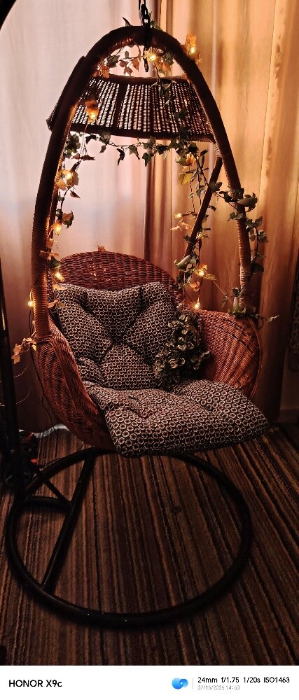 swing chair - 2