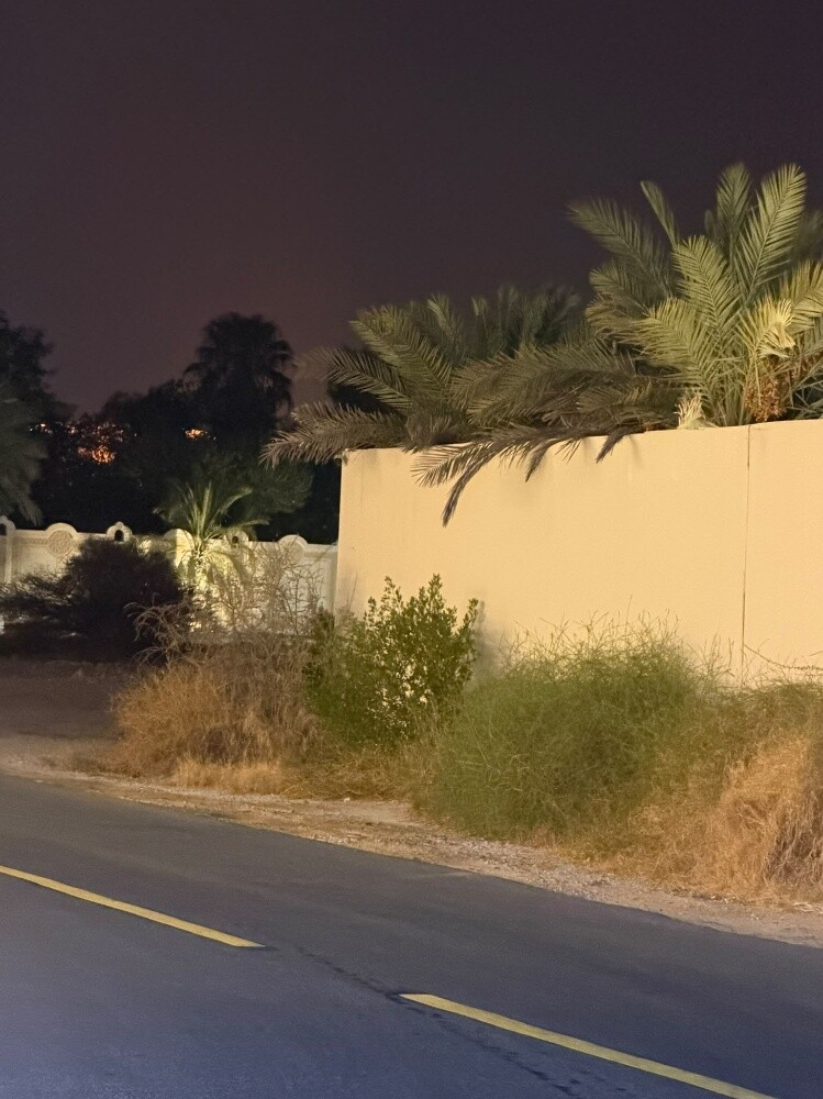 تنظيف عشب ضار - 1