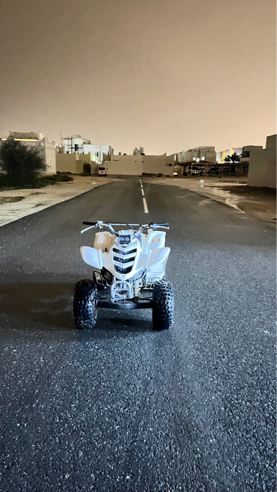 تميم - 3