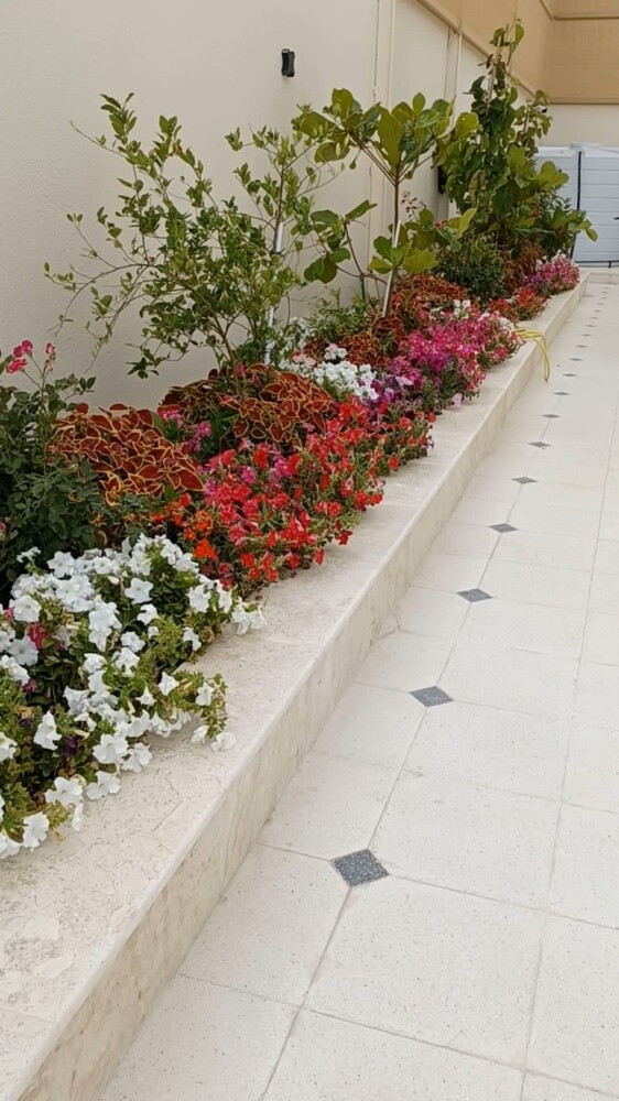 أعمال الاندسكيب - 26