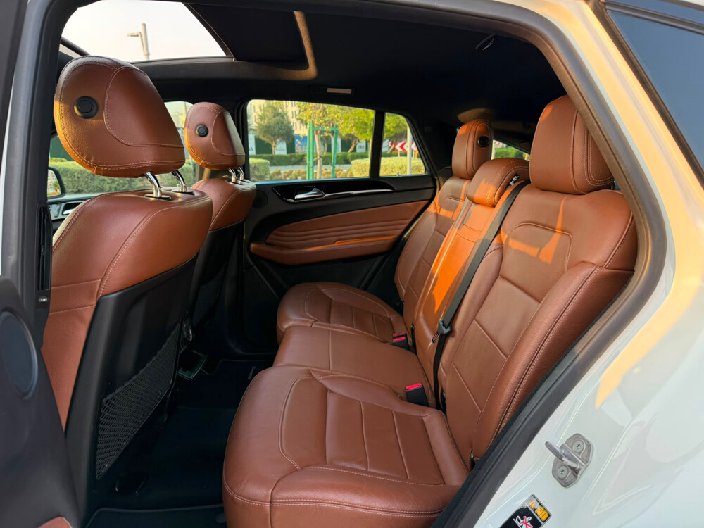 GLE 43 AMG 2019 - 7