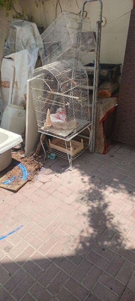 2 bathtubs, 2 cages - 5