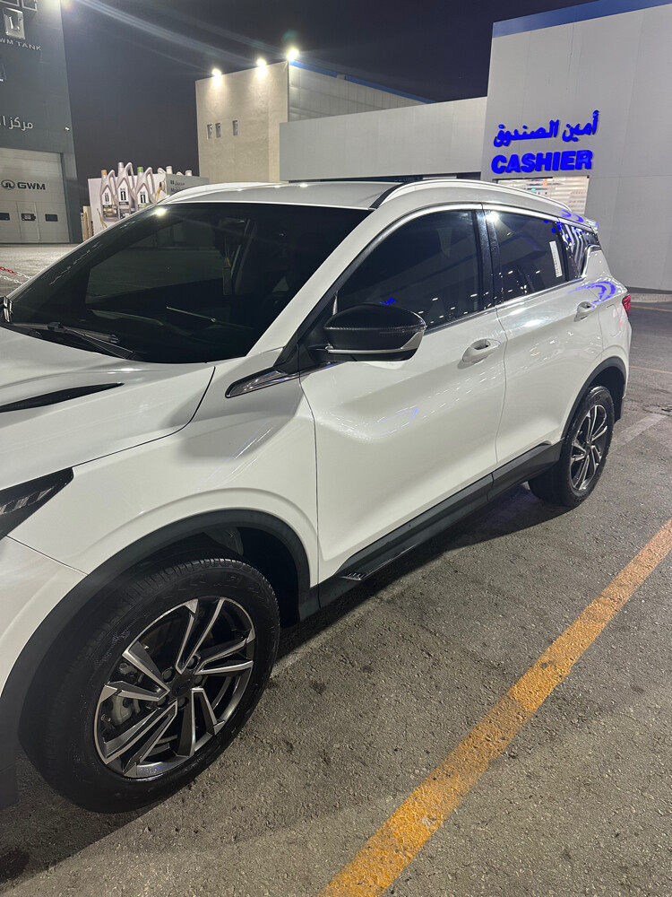 جيلي ٢٠٢٤  - 4