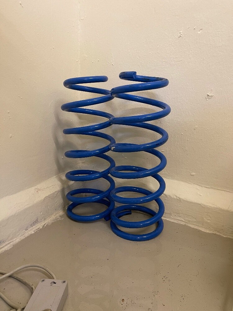 Heavy Duty Rear Coil Springs - 3