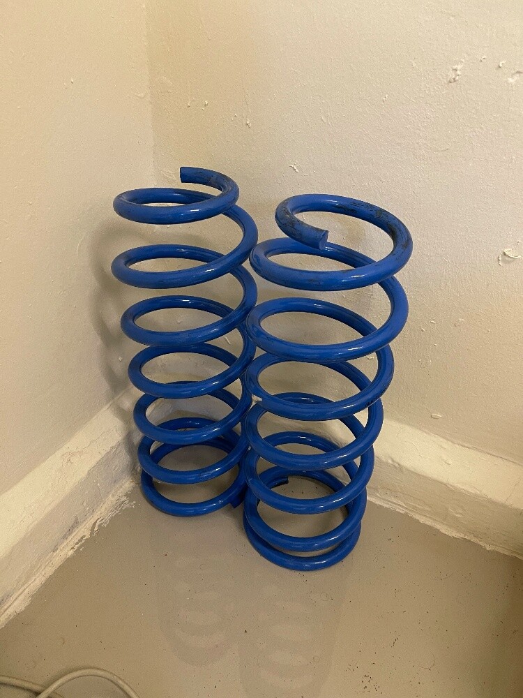 Heavy Duty Rear Coil Springs - 1