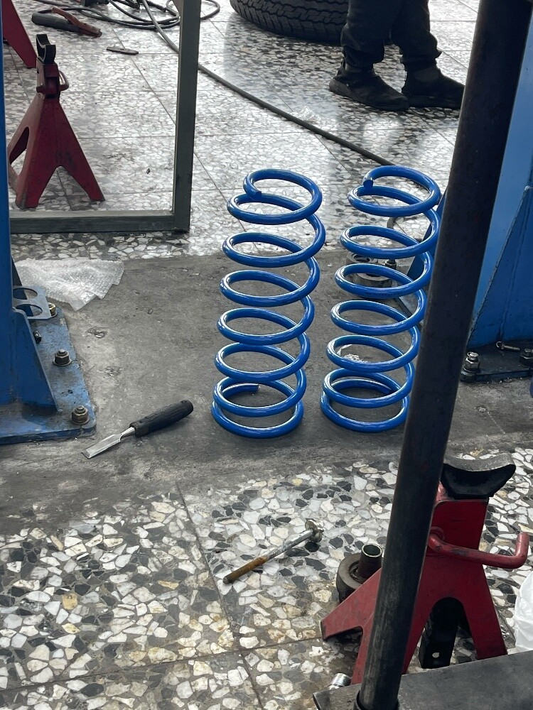 Heavy Duty Rear Coil Springs - 2