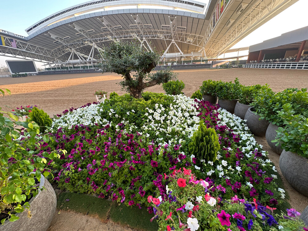 landscaping and gardening solution - 7