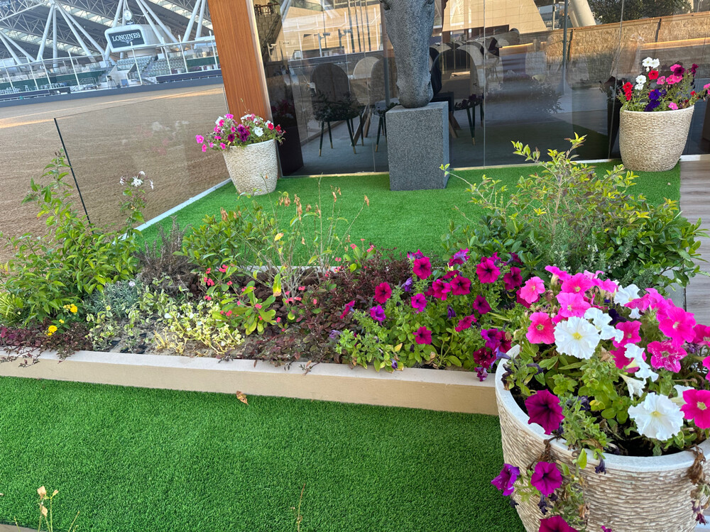 landscaping and gardening solution - 4
