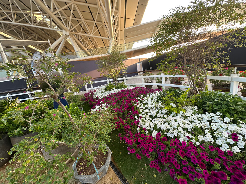 landscaping and gardening solution - 8
