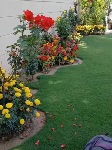 Gardener - 2