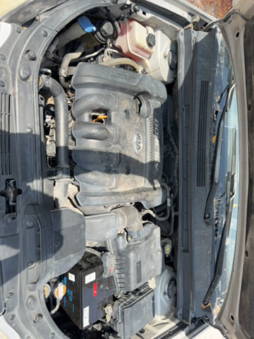 KIA CARENS 2008 FOR SALE - 10