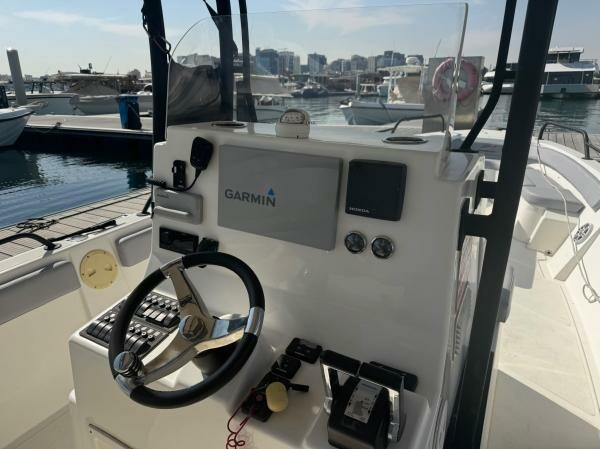 Bellambar 33 ft Excellent Condition - 3