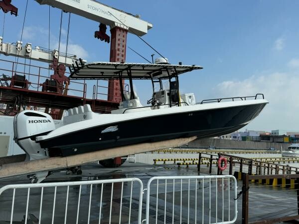 Bellambar 33 ft Excellent Condition - 5