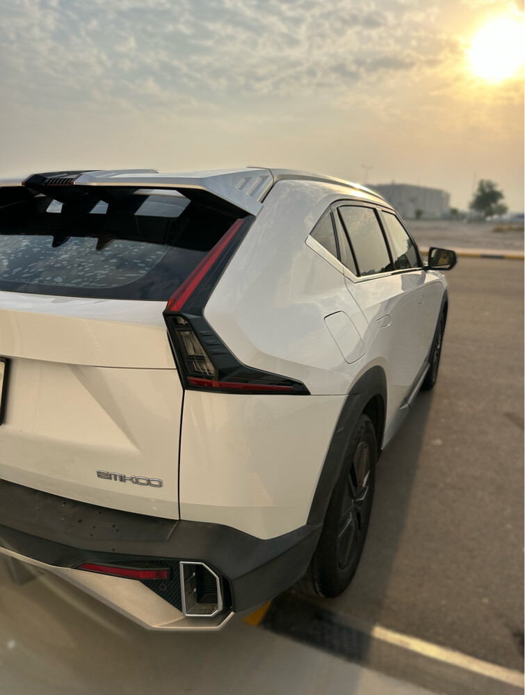 صبغ وكاله - 4