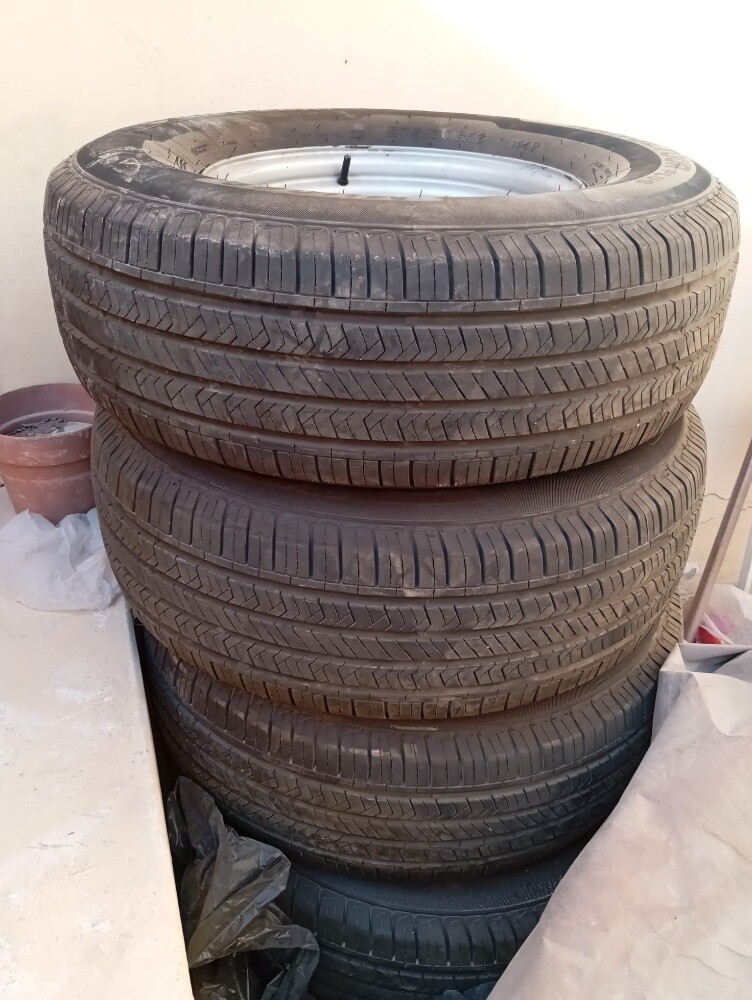 shanaber arid - 1