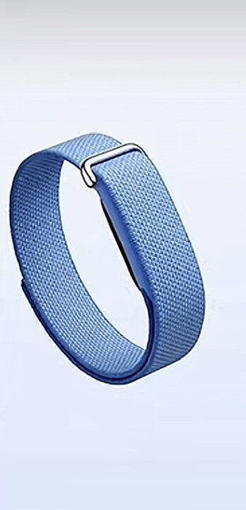 Fitbit air - 1