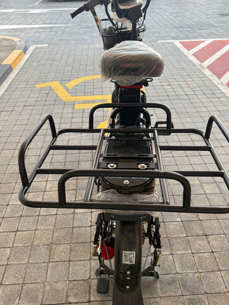 electric and manual bike - 2
