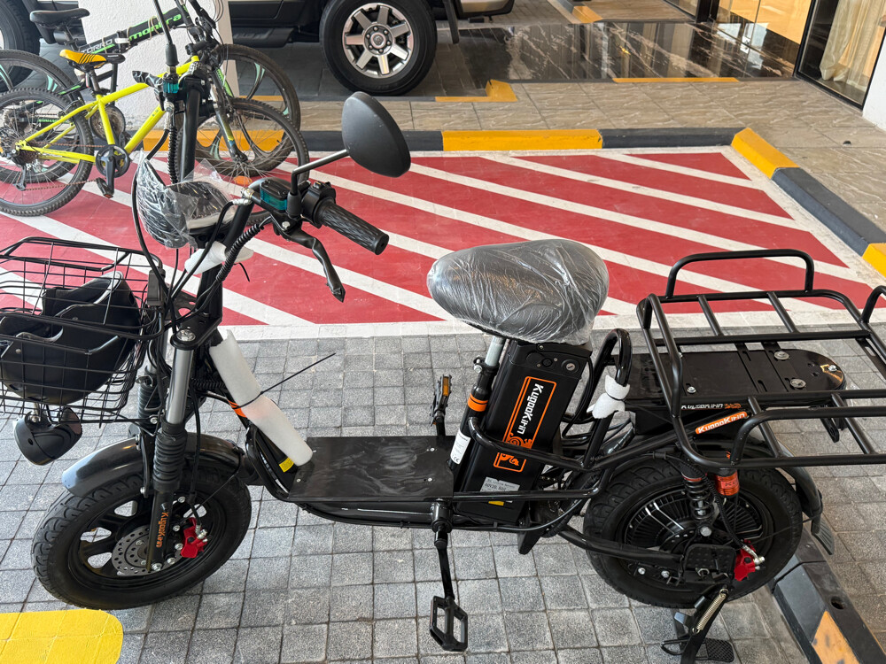 electric and manual bike - 4