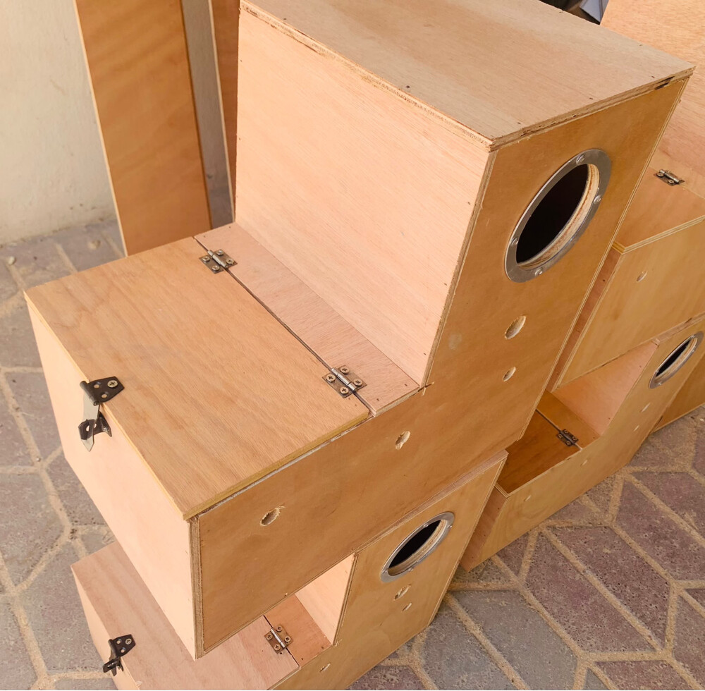 ring neck parrot nest boxes - 2