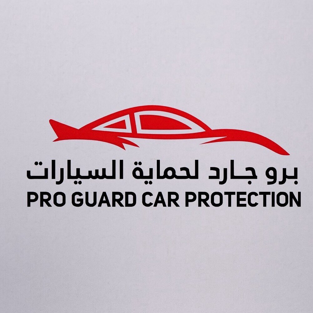 Car Paint Protection - 1
