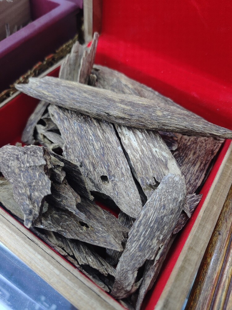 oud sumatrea - 2