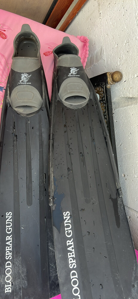 diving fins - 2