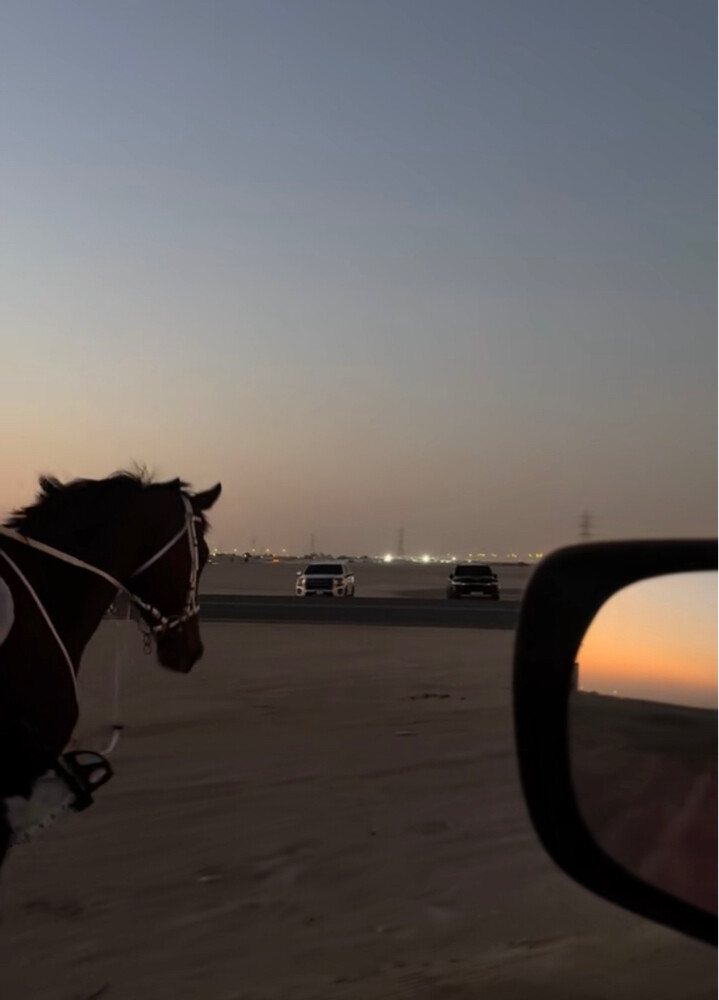 للبيع - 2
