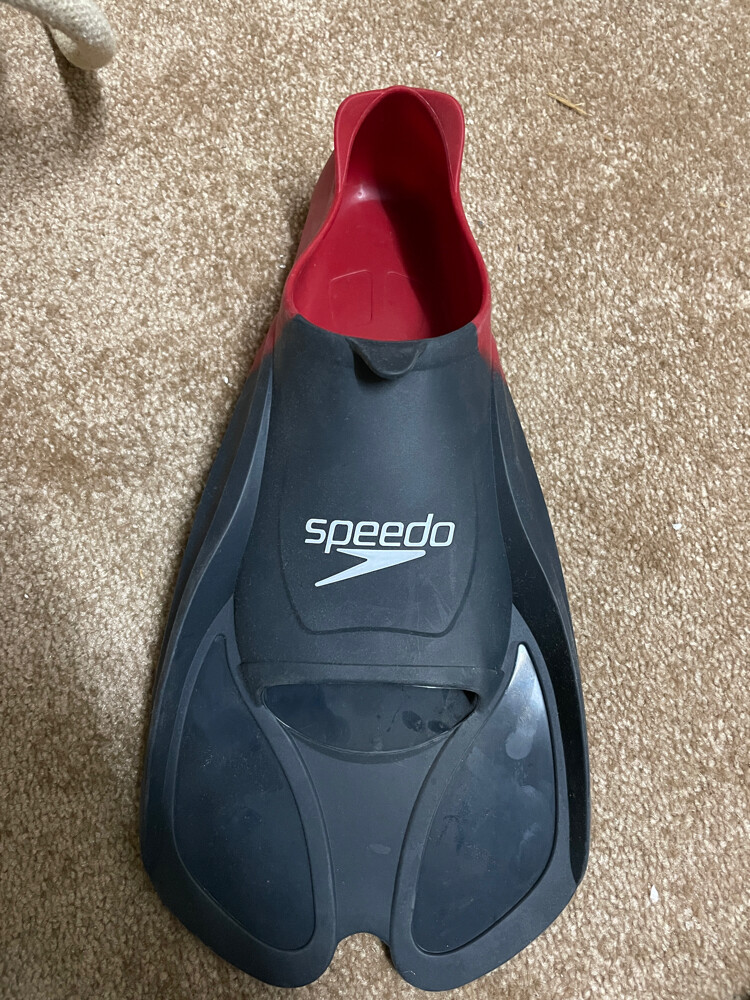 Speedo BioFuse Training fin - 3