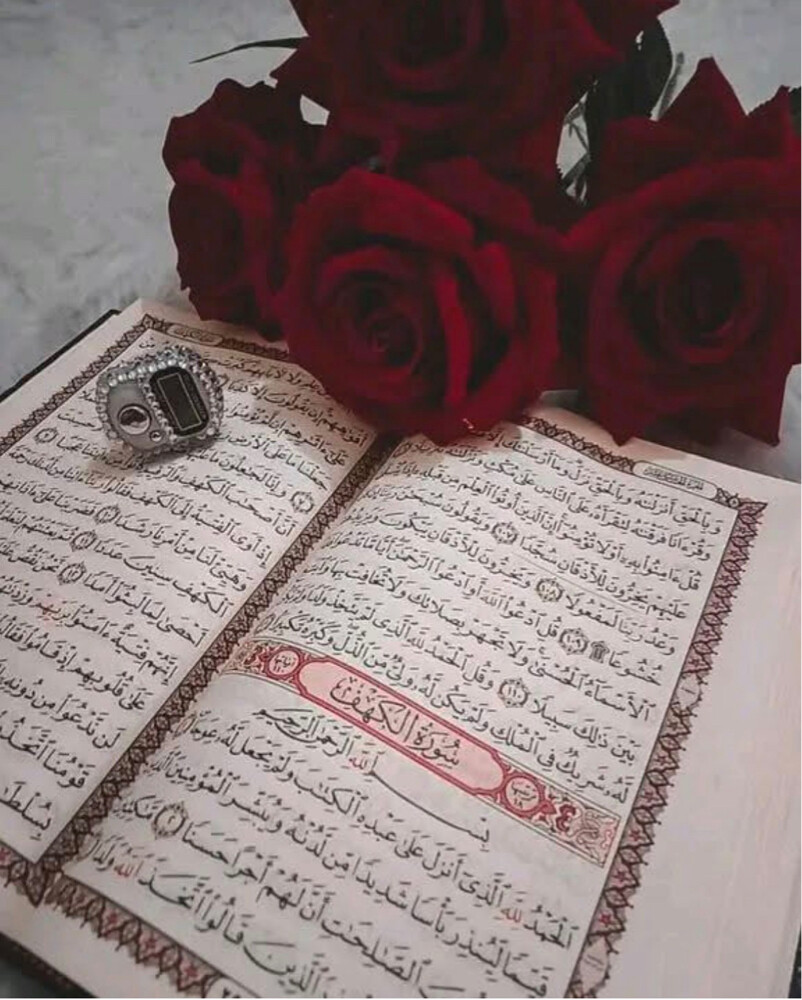 معلمه قران وتجويد للأطفال والنساء - 1