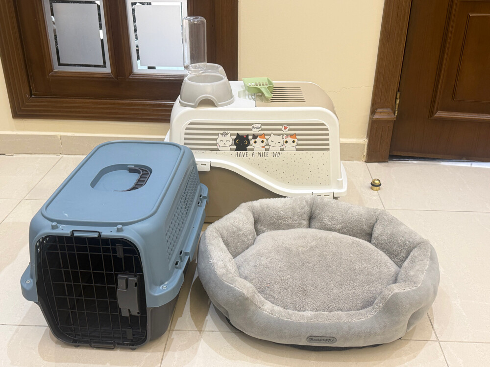 cats equipment  - 1