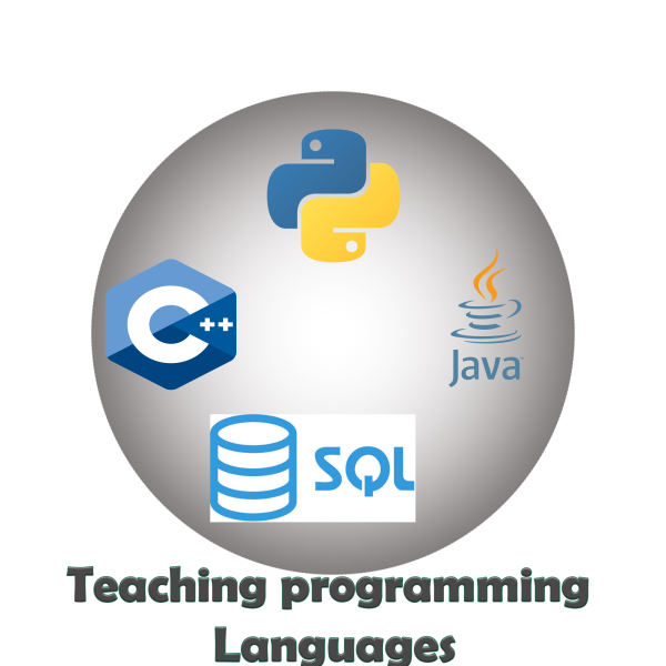 Computer teacher and IT support - 2