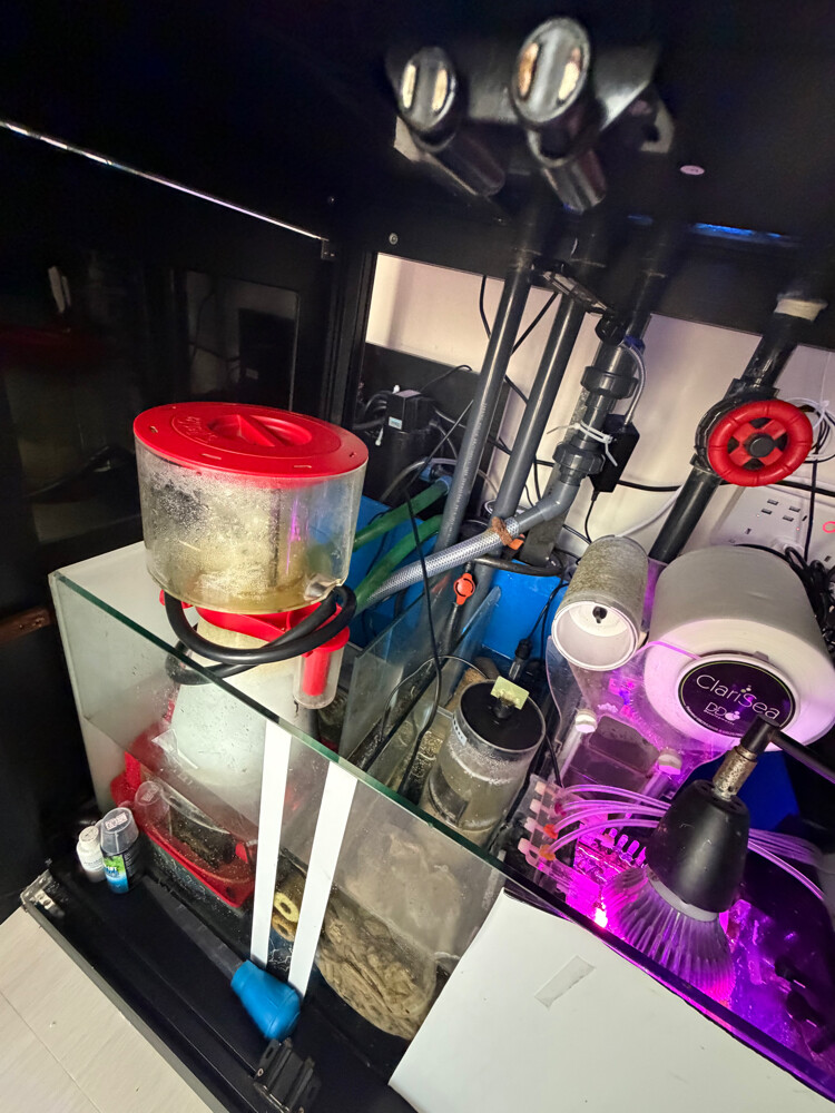 Premium Marine Aquarium setup - 2