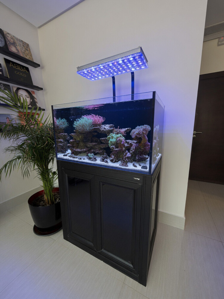 Premium Marine Aquarium setup - 1