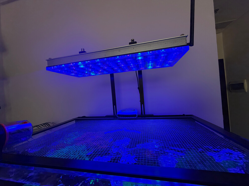 Premium Marine Aquarium setup - 3