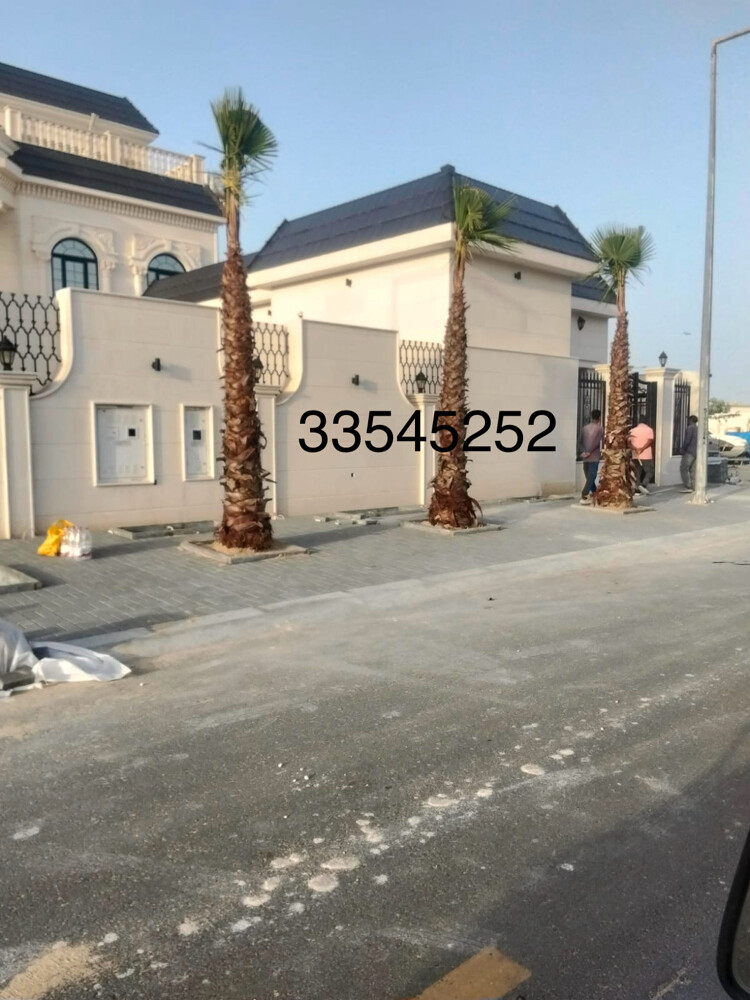 ترتيب وزراعه النخل - 15