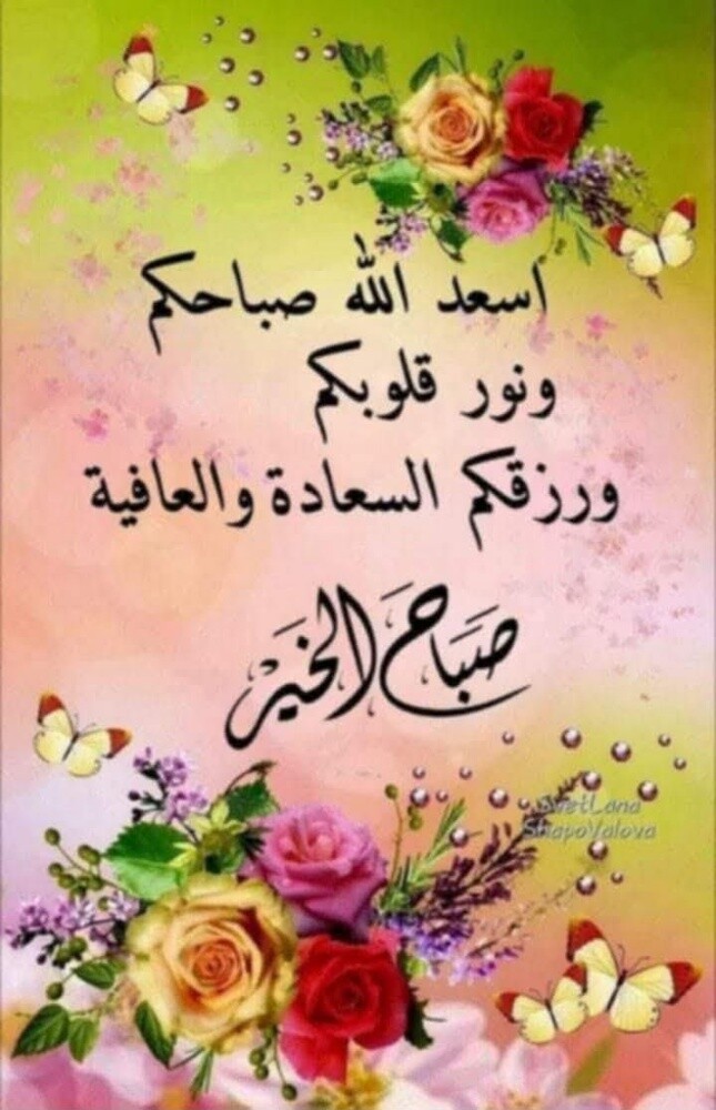 تركيب دش وضبط اشاره الستلايت - 7