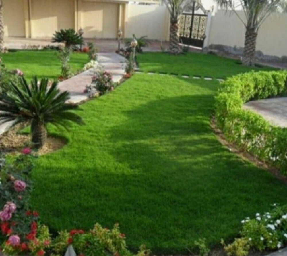 زراعه - 8