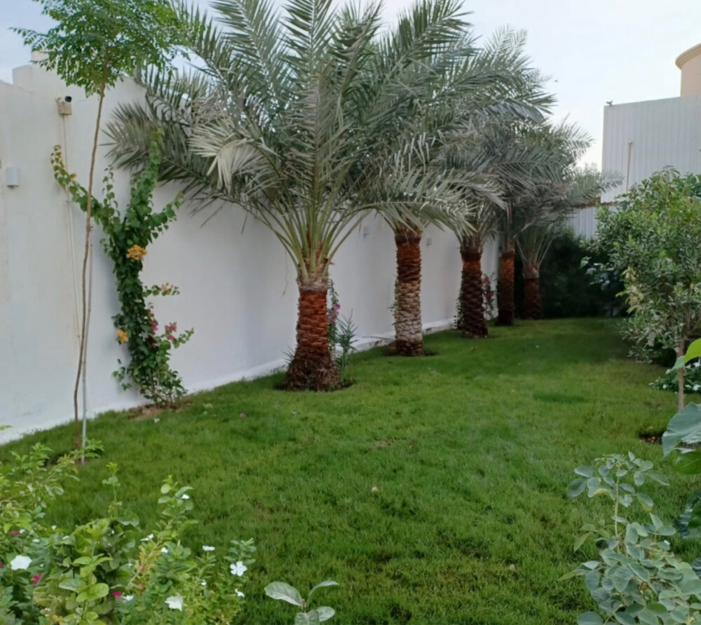 زراعه - 10