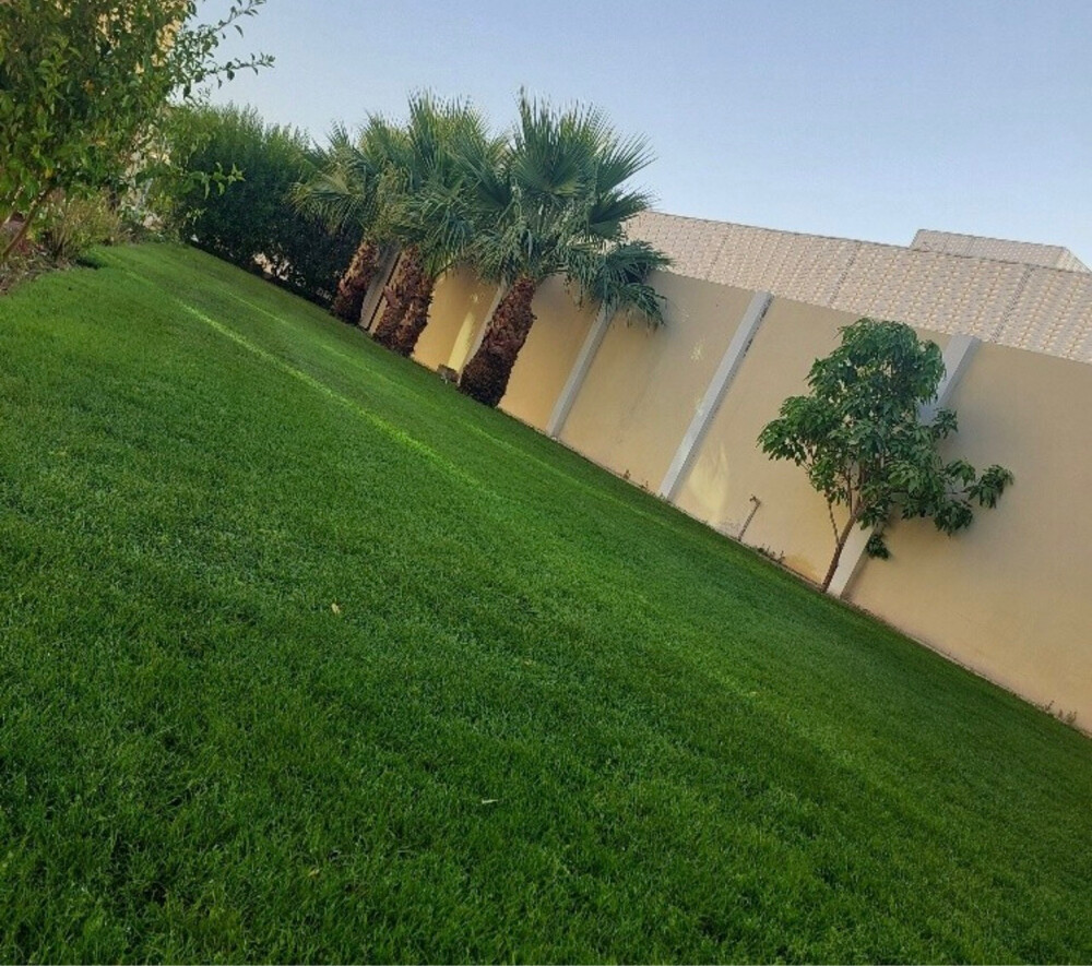 زراعه - 6