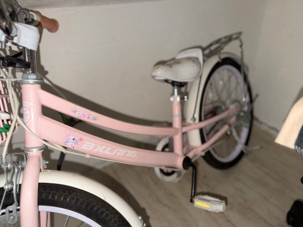 Girls’ Bicycle for Sale - 2