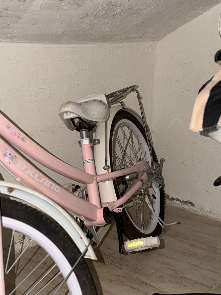 Girls’ Bicycle for Sale - 6
