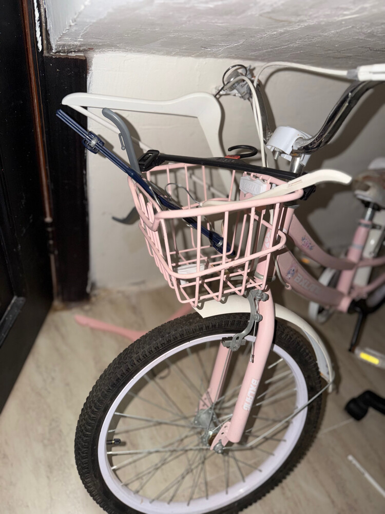 Girls’ Bicycle for Sale - 5