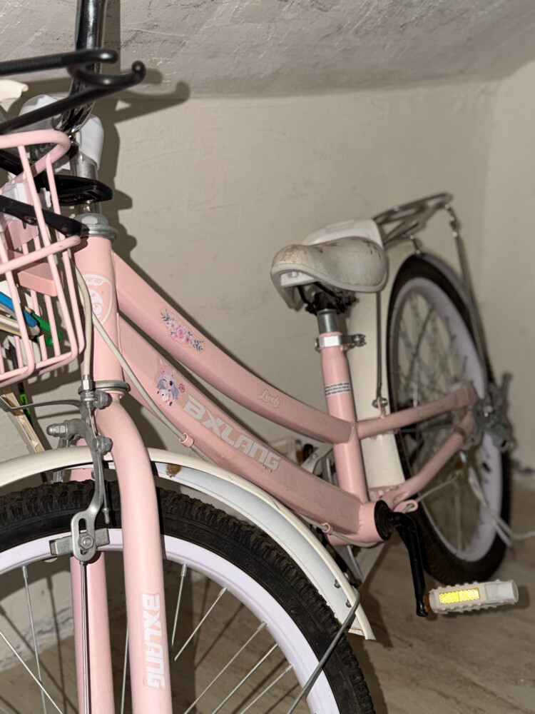Girls’ Bicycle for Sale - 3