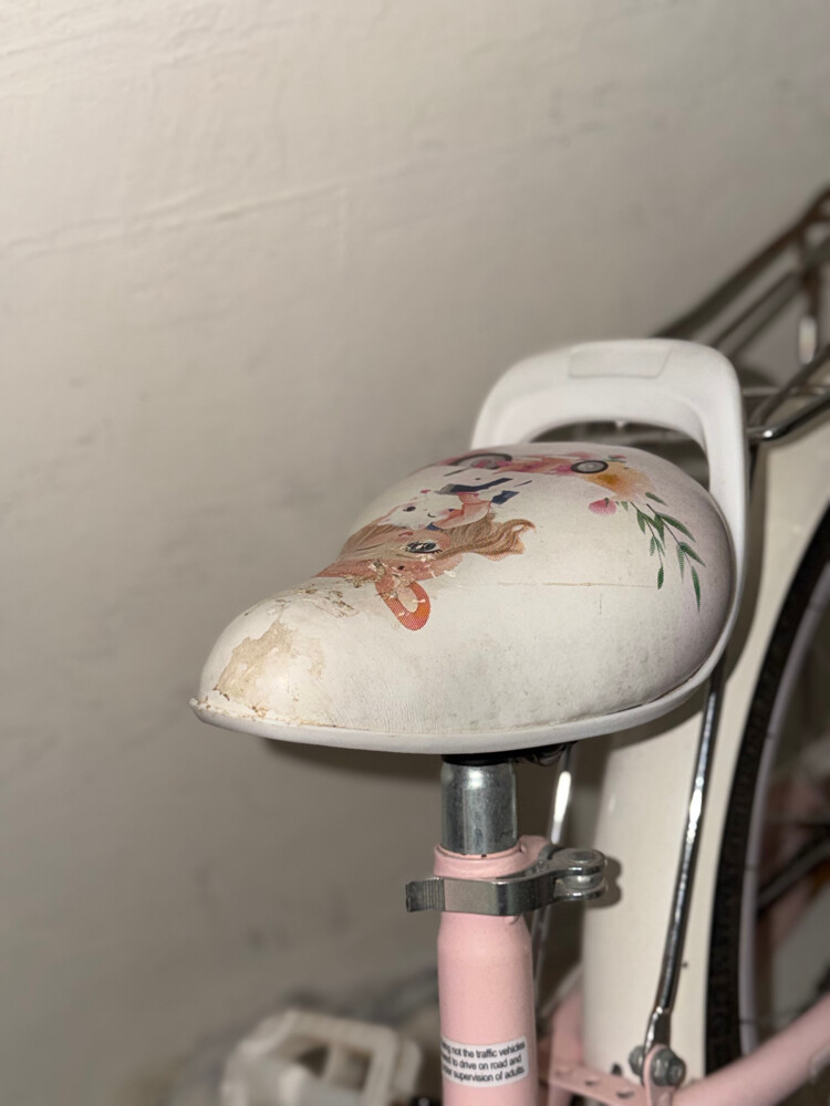 Girls’ Bicycle for Sale - 4