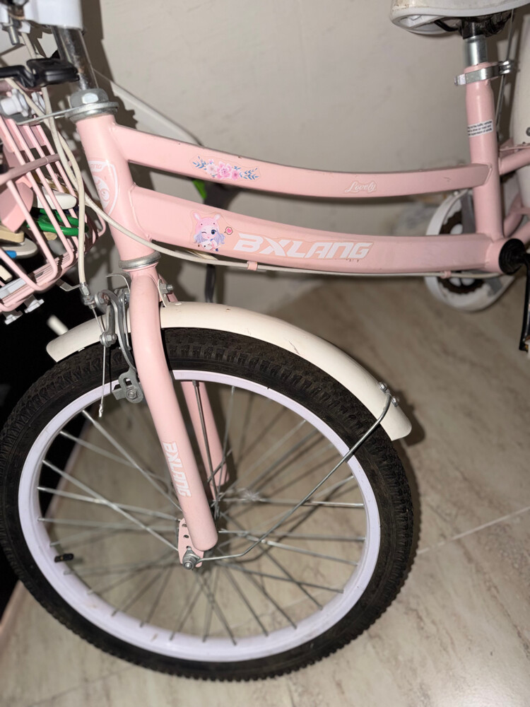 Girls’ Bicycle for Sale - 1