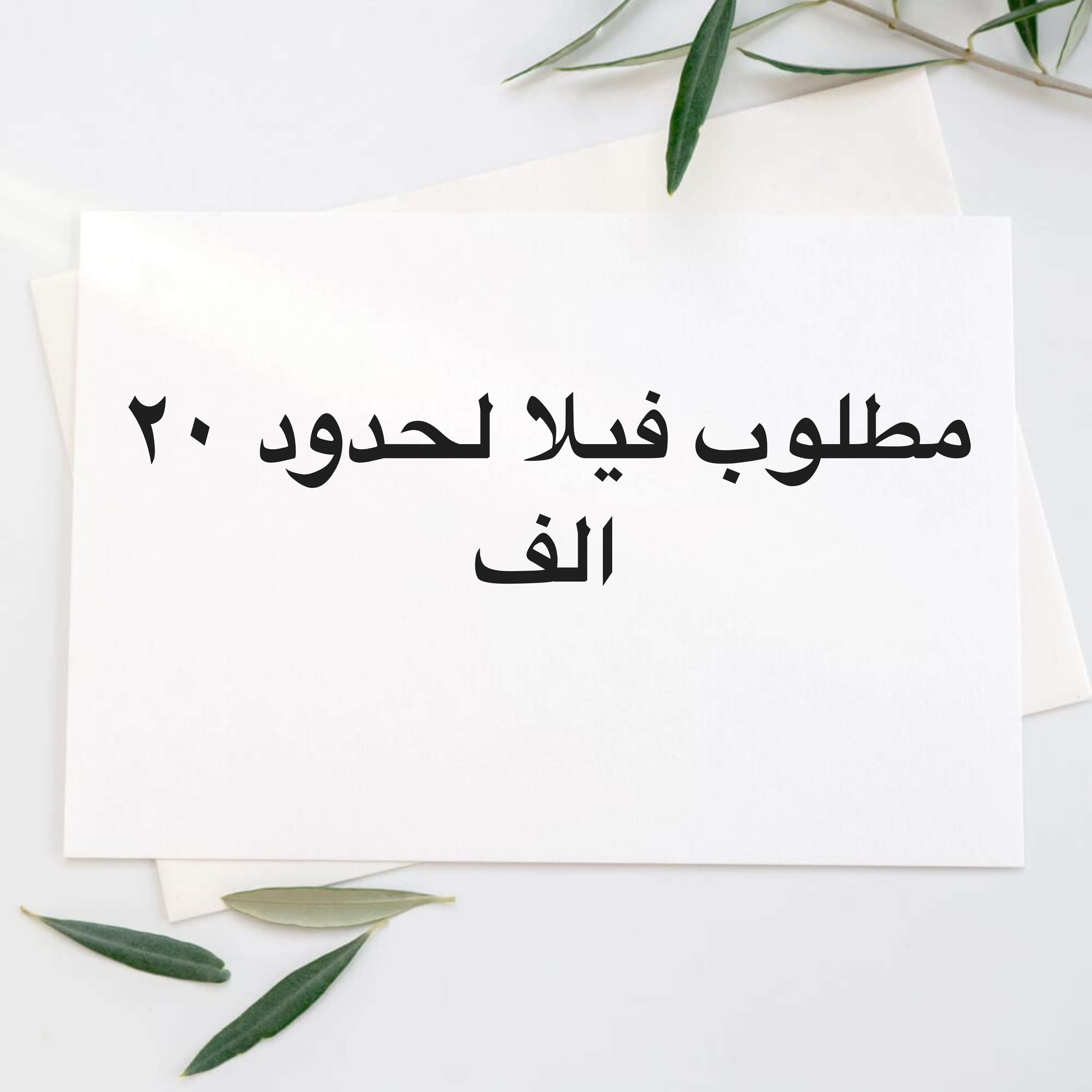 مطلوب عاجلا فيلا جديده لحدود ٢٠ - 1