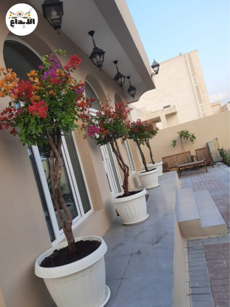 تنسيق حدائق وعشب طبيعي - 5