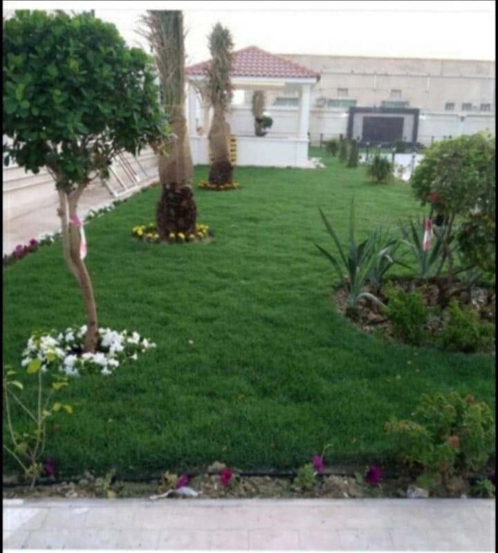 تنسيق حدائق وعشب طبيعي - 9