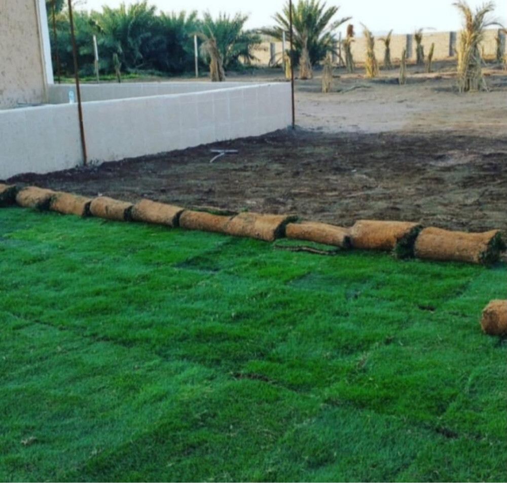 تنسيق حدائق وعشب طبيعي - 6
