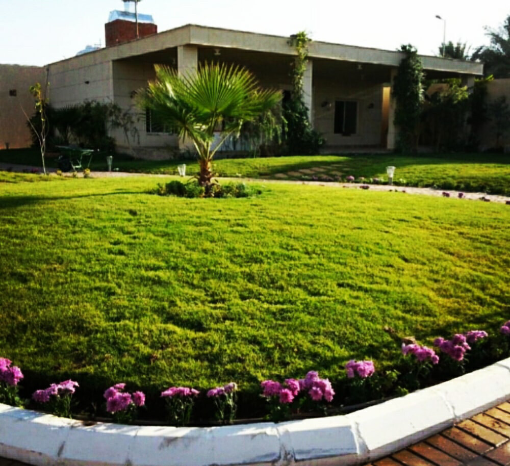 تنسيق حدائق وعشب طبيعي - 15